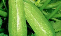 爆料吃瓜真人图片大全高清,高清爆料吃瓜真人图集大公开